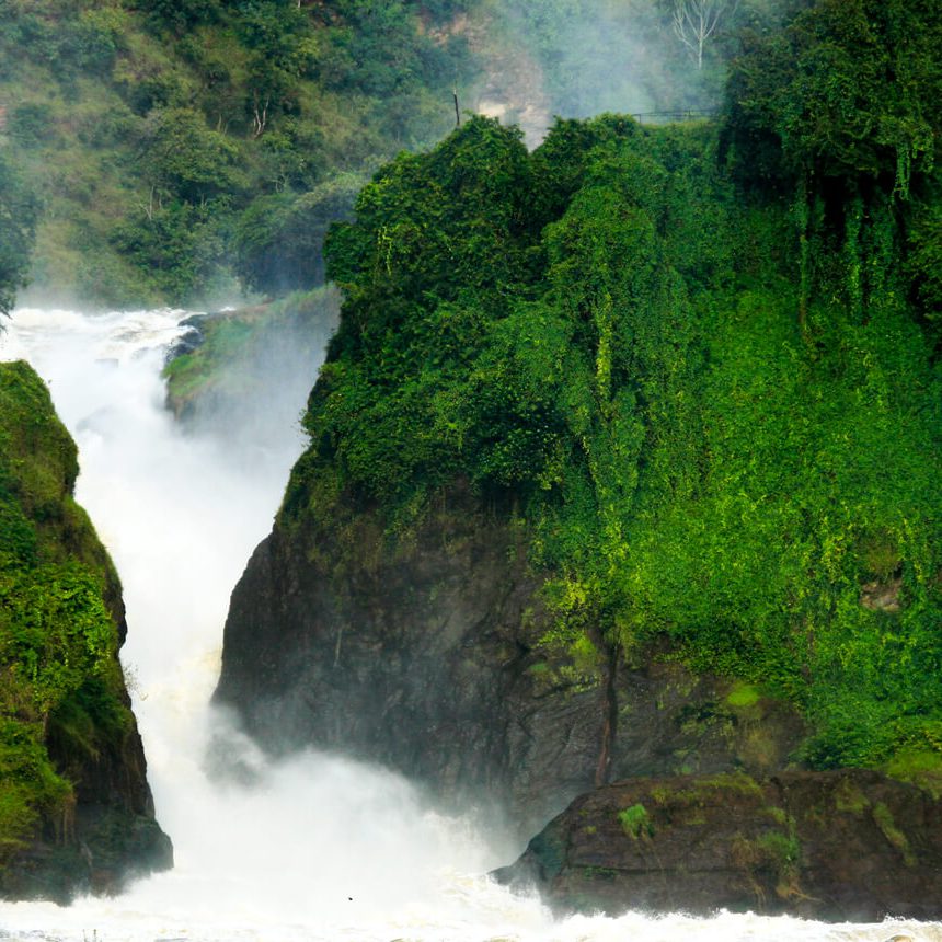 murchison-uganda (1)